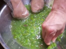 집에서 와인 담그기