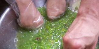 집에서 와인 담그기