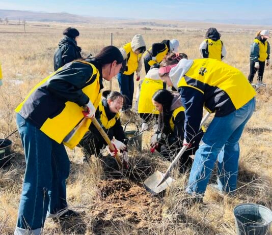 오비맥주, 사막화 방지 위해 몽골서 ‘카스 희망의 숲’ 조림 사업 16년째 전개