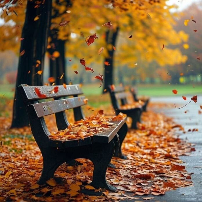 가을 벤취