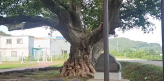 고향 사람들과 마시는 술의 의미