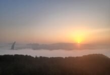 그래도 새해 희망을 말한다