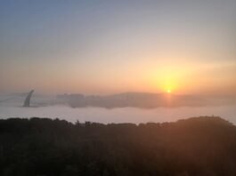 그래도 새해 희망을 말한다