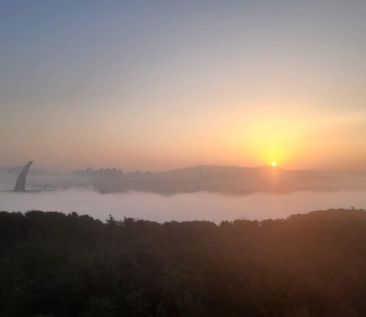그래도 새해 희망을 말한다