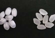 ‘한국적인 술’은 무엇인가, 기준부터 다시 세우다