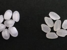 ‘한국적인 술’은 무엇인가, 기준부터 다시 세우다