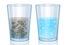 옛날에는 물보다는 ‘술’이 더 안전했다.