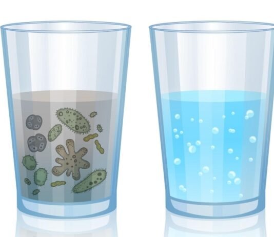 옛날에는 물보다는 ‘술’이 더 안전했다.