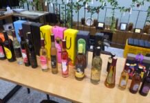 한겨울 추위를 이겨낸 포도를 수확하여 아이스와인을 빚는다