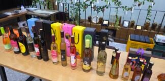 한겨울 추위를 이겨낸 포도를 수확하여 아이스와인을 빚는다