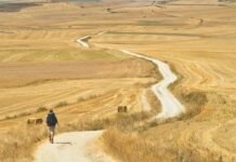 하루하루 앞으로 걸어 나아가야!