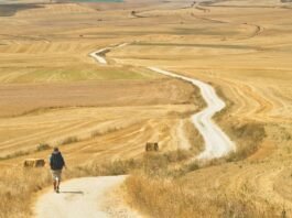 하루하루 앞으로 걸어 나아가야!