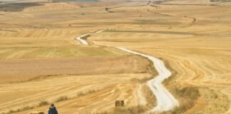 하루하루 앞으로 걸어 나아가야!