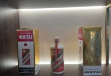 봄심과 술심이 주는 얘기를 그려보며