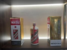 봄심과 술심이 주는 얘기를 그려보며