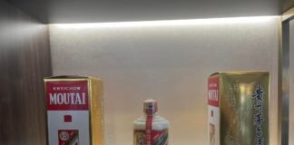 봄심과 술심이 주는 얘기를 그려보며