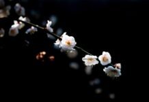 주택 수요와 공급의 두 얼굴, 천사(天使)인가 악마(惡魔)인가?