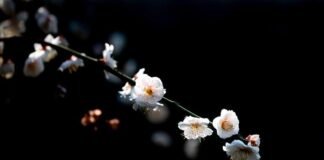 주택 수요와 공급의 두 얼굴, 천사(天使)인가 악마(惡魔)인가?