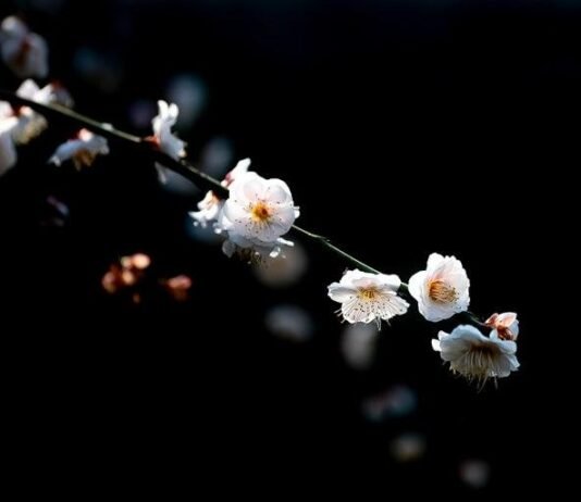 주택 수요와 공급의 두 얼굴, 천사(天使)인가 악마(惡魔)인가?