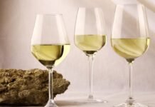 ‘미네랄 향미(Minerality)’란 없다?