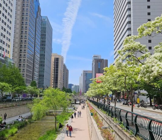 오월 世俗의 눈