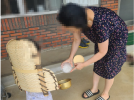 소금이라도 뿌려라